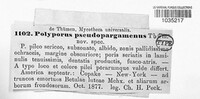 Image Associated With the Occurence